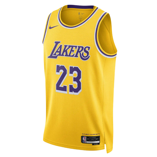 LeBron James Los Angeles Lakers 24/25 Icon Swingman Jersey